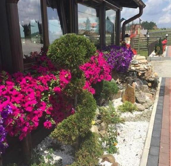 Пансион Popasul Transilvania