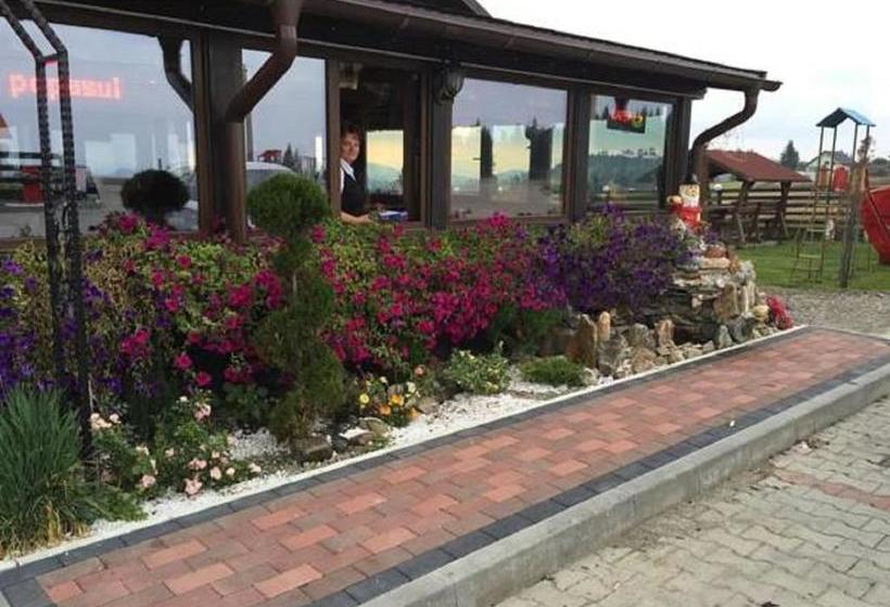 Пансион Popasul Transilvania