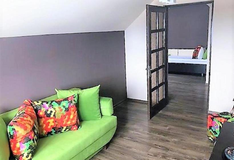 Пансион Popasul Transilvania