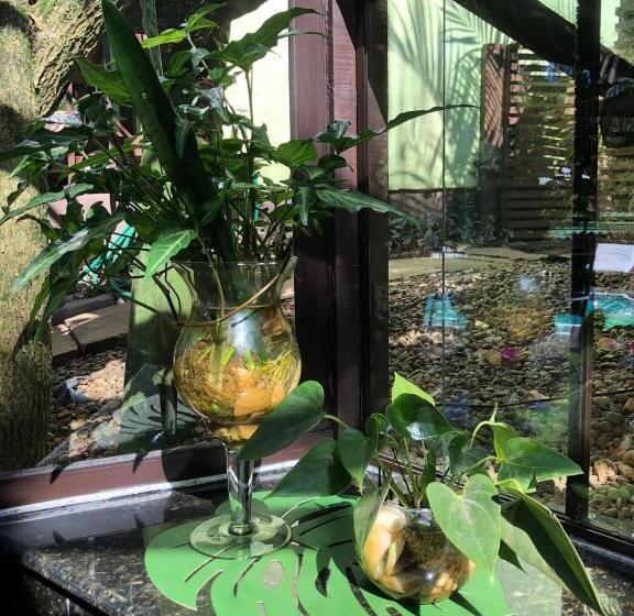 ペンション Pousada Aloha Beach House