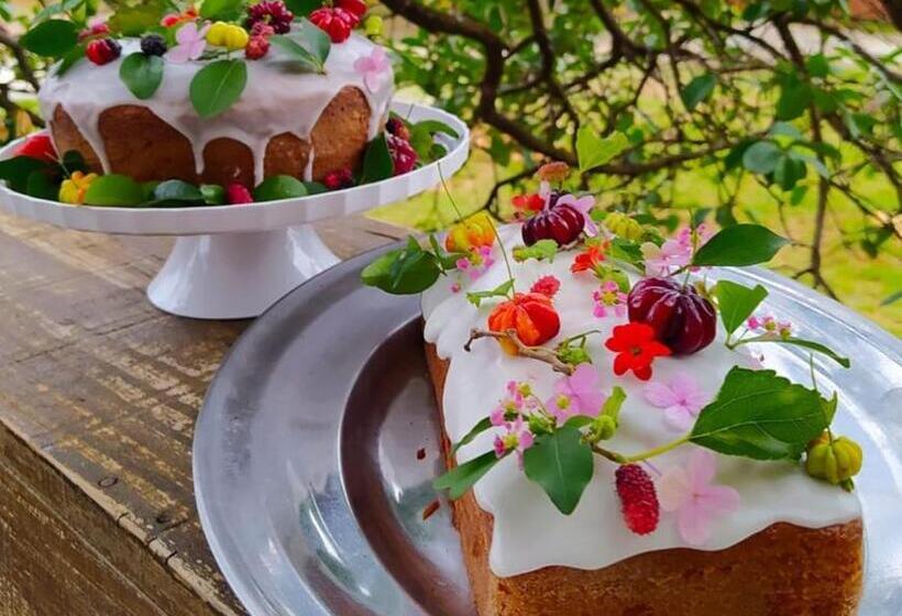 Пансион Topo Do Cipó Ecopousada Vegana