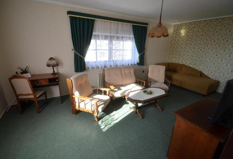 Пансион Villa žerotín Penzion Bed & Breakfast