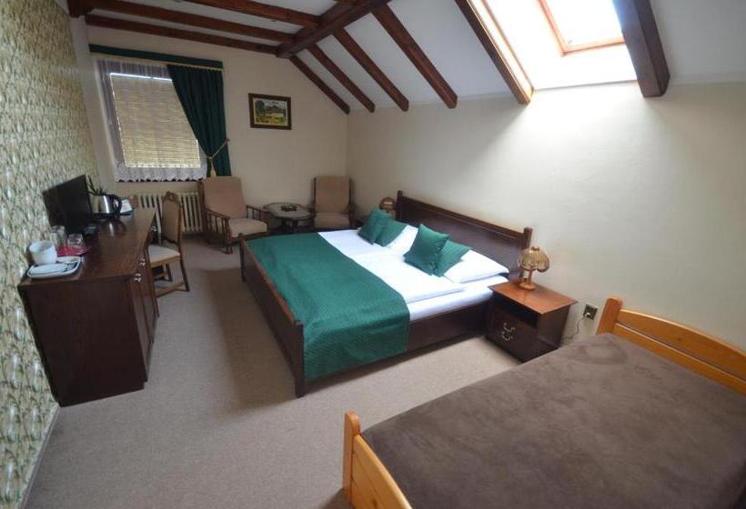 Пансион Villa žerotín Penzion Bed & Breakfast