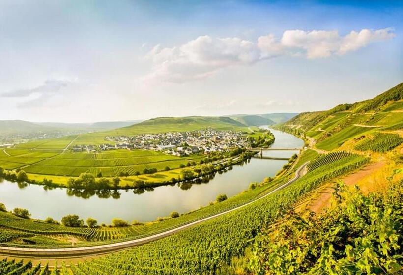 פנסיון Weingut & Gästehaus Christoph Clüsserath