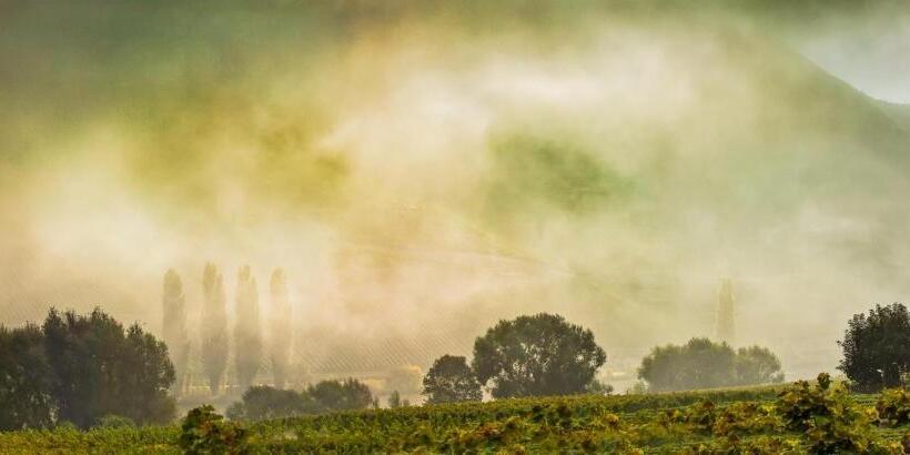 פנסיון Weingut & Gästehaus Christoph Clüsserath