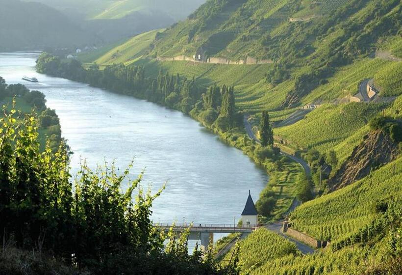 פנסיון Weingut & Gästehaus Christoph Clüsserath