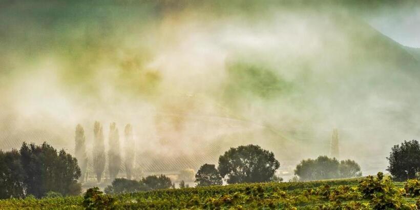 פנסיון Weingut & Gästehaus Christoph Clüsserath