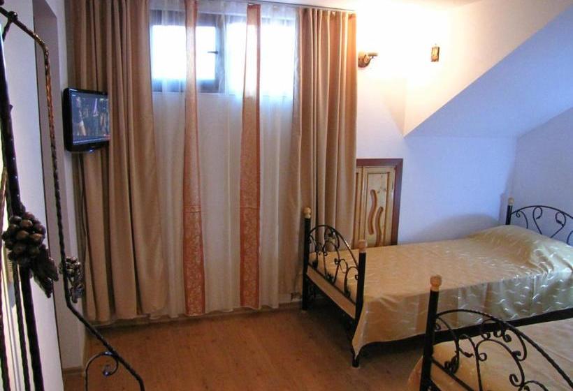 Pensiunea Pluto Sulina