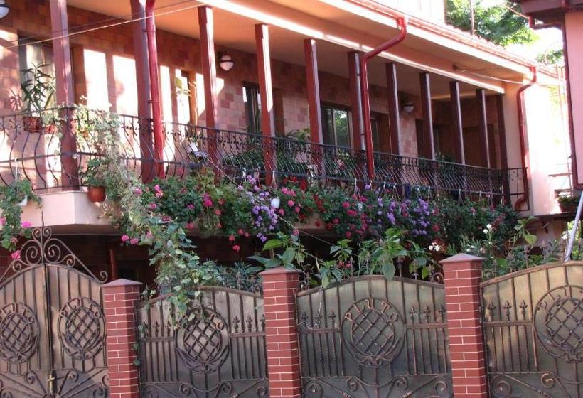 Pensiunea Pluto Sulina