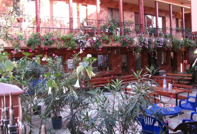 Pensiunea Pluto Sulina