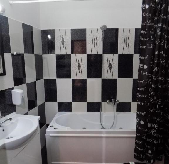 Pensiunea Red Rose Apartments