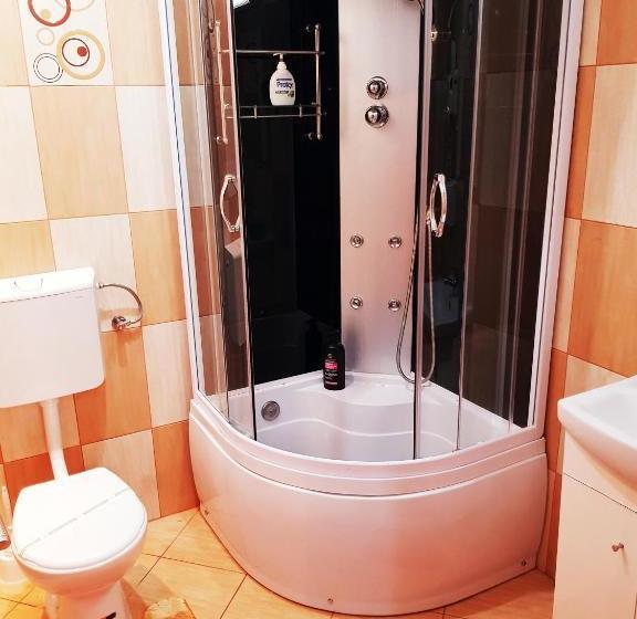 Pensiunea Red Rose Apartments