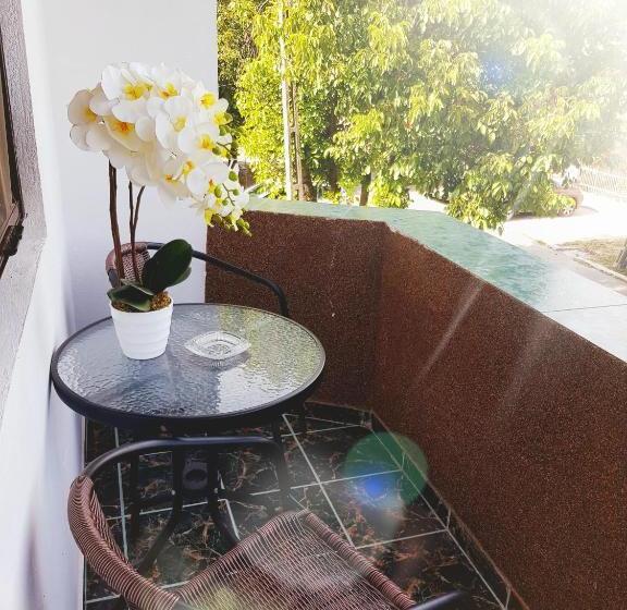 Pensiunea Red Rose Apartments