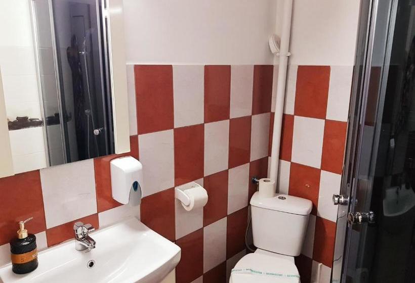 Pensiunea Red Rose Apartments