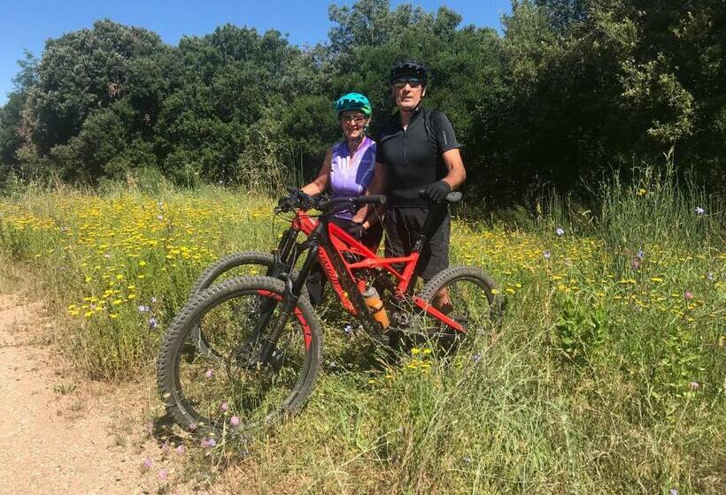 Agriturismo Bike Hotel Podere Giarlinga