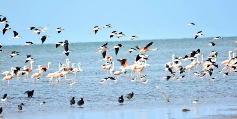 Hostel Andaluhe Posada