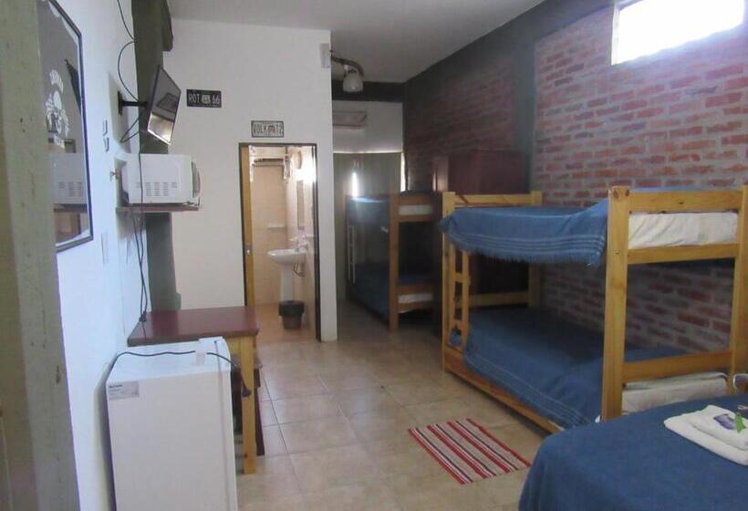 هاستل La Casona