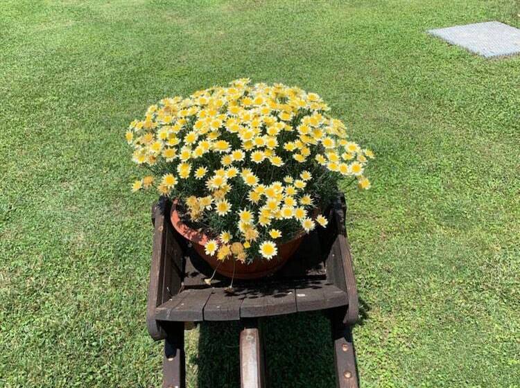 Aurelia Rta Detta Il Cascinale