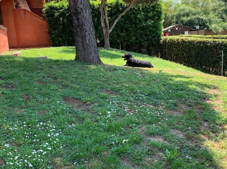 Aurelia Rta Detta Il Cascinale