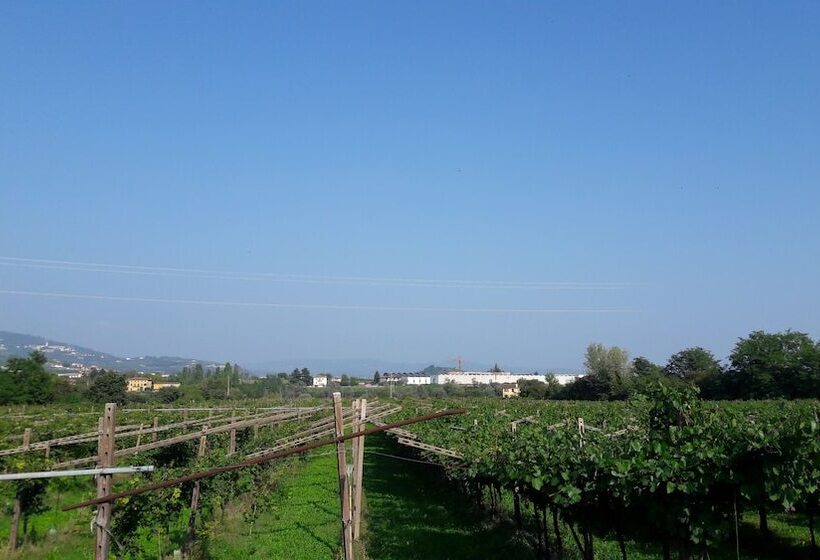 호텔 Agriturismo Camparella