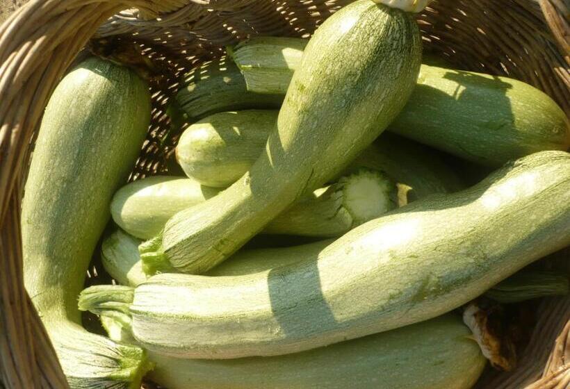 فندق Agriturismo Santa Chiara