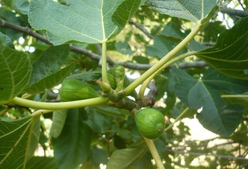 فندق Agriturismo Santa Chiara