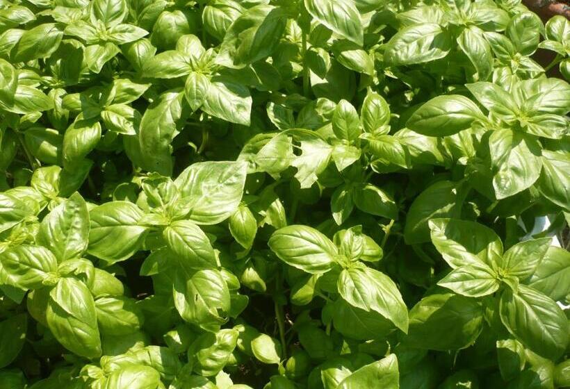 فندق Agriturismo Santa Chiara