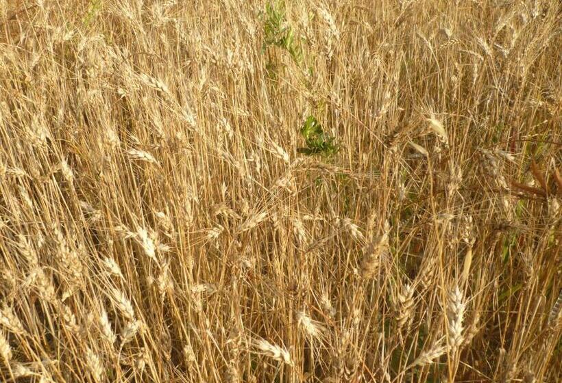 فندق Agriturismo Santa Chiara