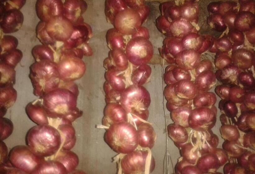 فندق Agriturismo Santa Chiara