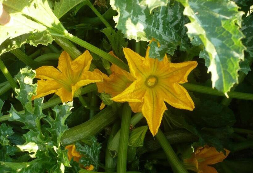 فندق Agriturismo Santa Chiara