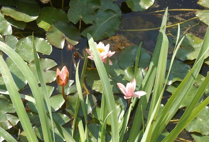 酒店 Agroturismo Es Pla De Llodrá