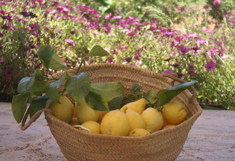 酒店 Agroturismo Es Pla De Llodrá