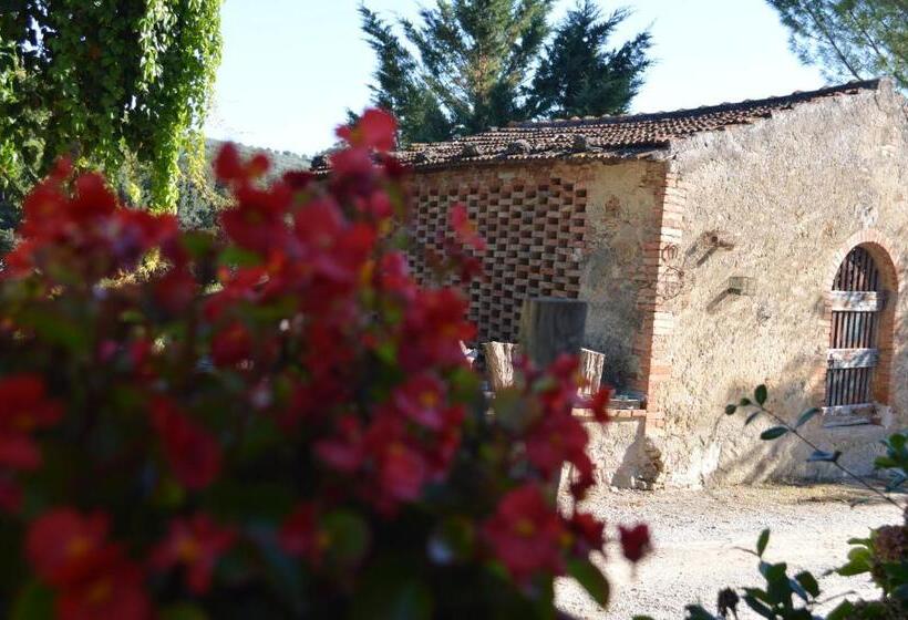 호텔 Azienda Agricola Polveraia