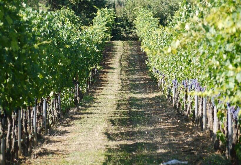 호텔 Azienda Agricola Polveraia