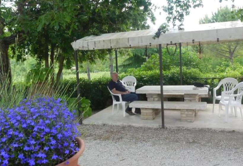 호텔 Azienda Agricola Polveraia