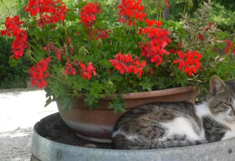 호텔 Azienda Agricola Polveraia