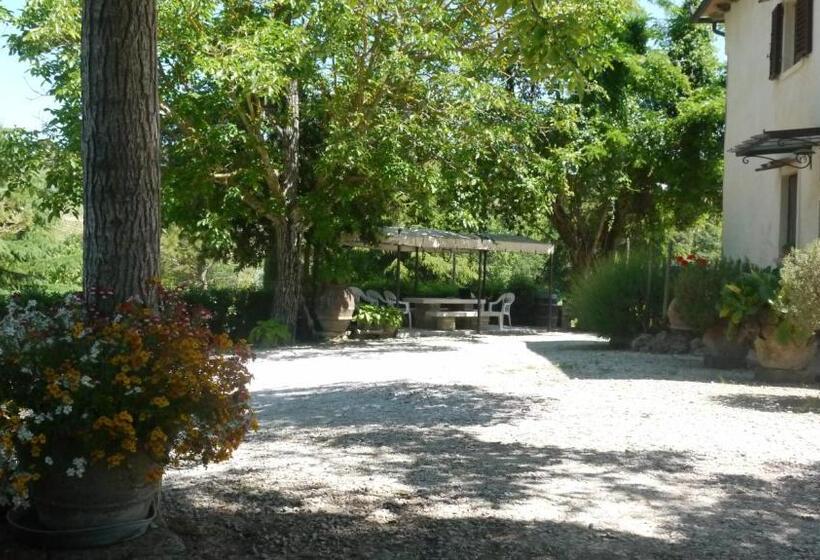 호텔 Azienda Agricola Polveraia