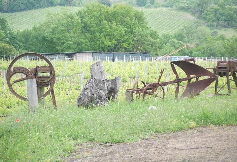 호텔 Azienda Agricola Polveraia