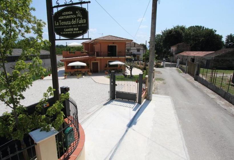 Отель Azienda Agrituristica La Tenuta Del Falco