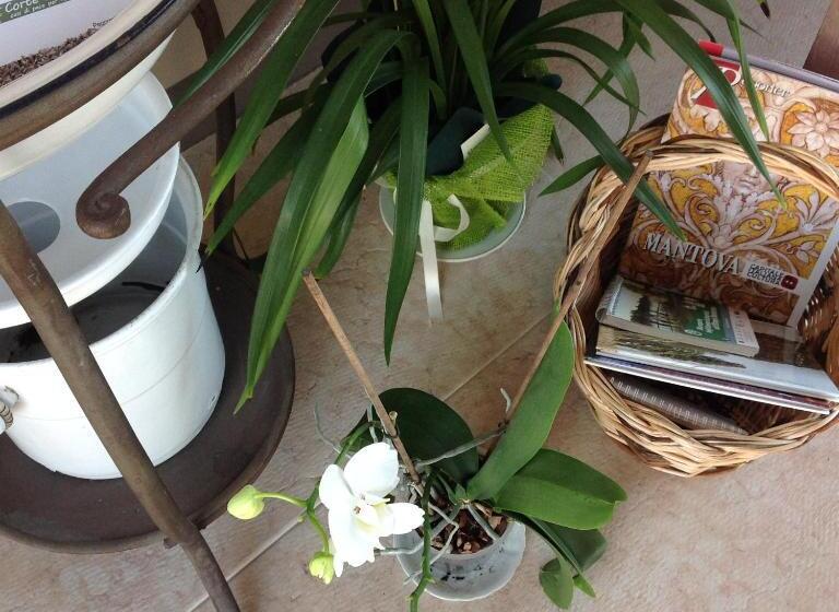 فندق Corte Motte