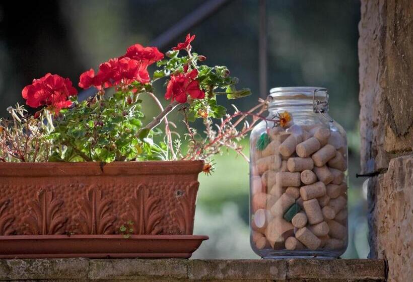 בית מלון כפרי Tenuta La Silva