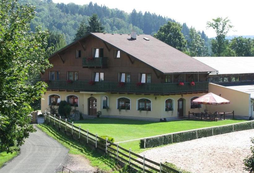 بنسيون Boháček