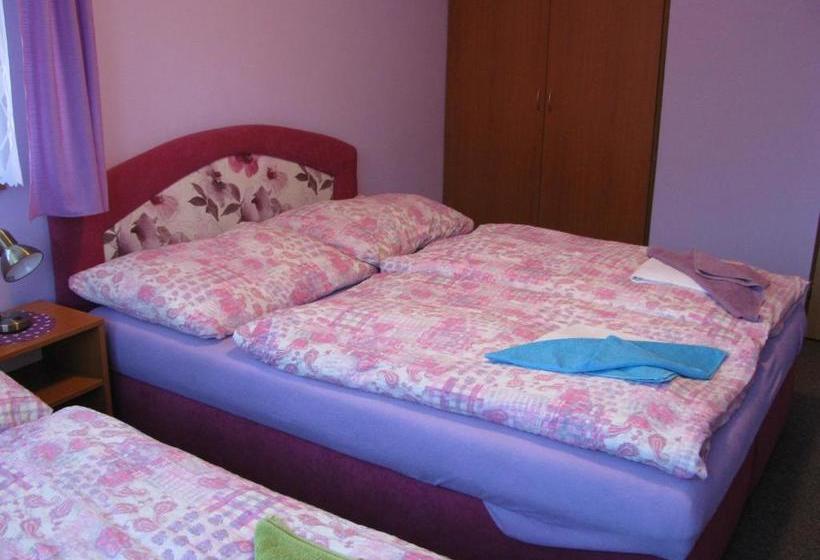 بنسيون Boháček