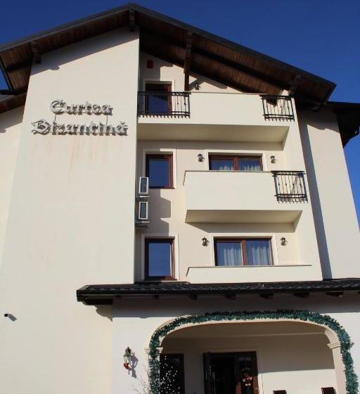 펜션 Curtea Bizantina