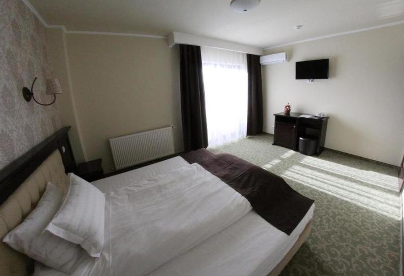 펜션 Curtea Bizantina