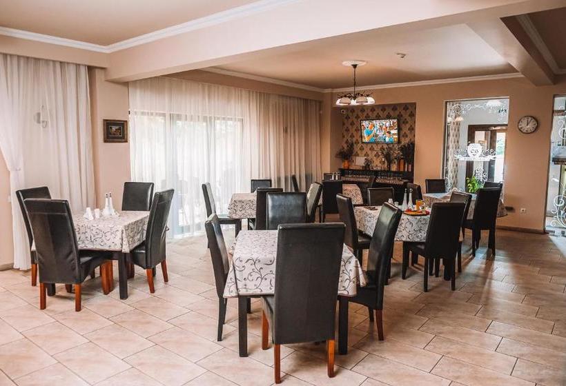 펜션 Curtea Bizantina