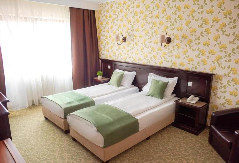 펜션 Curtea Bizantina