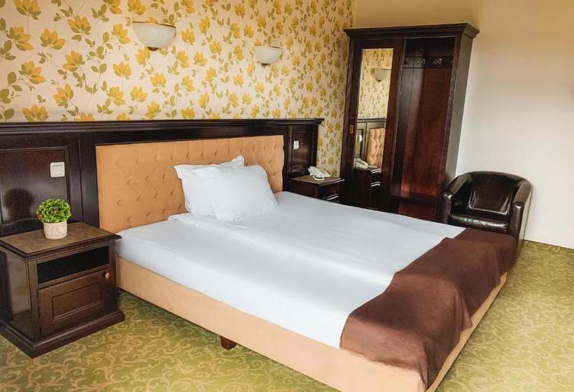 펜션 Curtea Bizantina