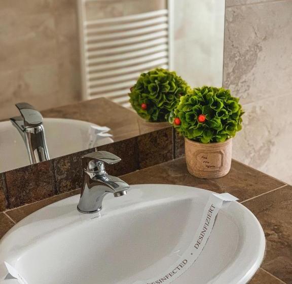 펜션 Curtea Bizantina