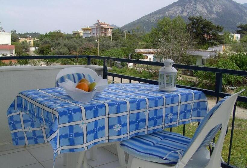 بنسيون Domizil Lina Art